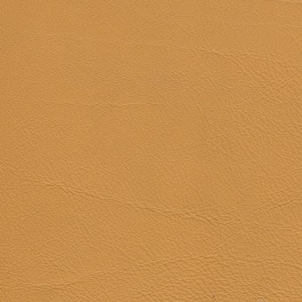 FABRIC Leather Due : Due / Yellow FABRIC Leather Due : Due / Yellow